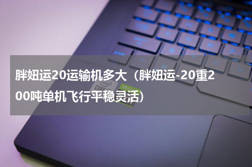 胖妞运20运输机多大（胖妞运-20重200吨单机飞行平稳灵活）