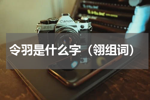 令羽是什么字（翎组词）