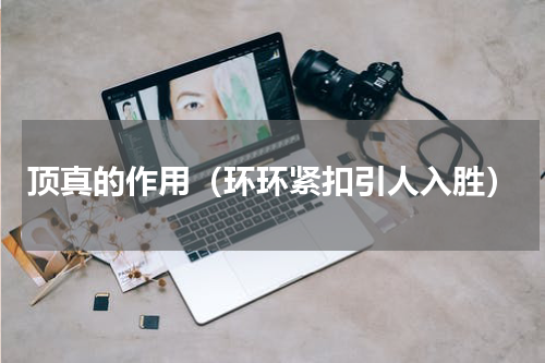 顶真的作用（环环紧扣引人入胜）