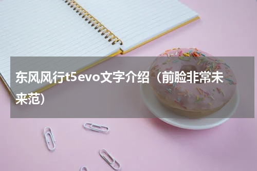 东风风行t5evo文字介绍（前脸非常未来范）