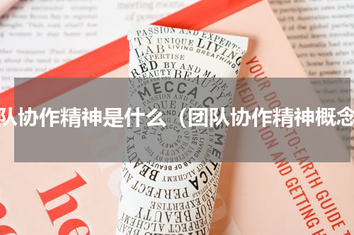 团队协作精神是什么（团队协作精神概念）