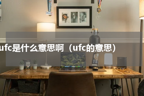 ufc是什么意思啊（ufc的意思）
