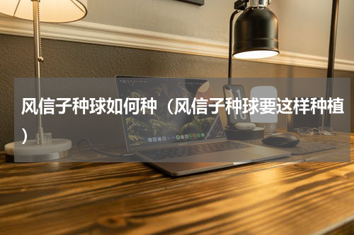 风信子种球如何种（风信子种球要这样种植）