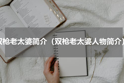 双枪老太婆简介（双枪老太婆人物简介）