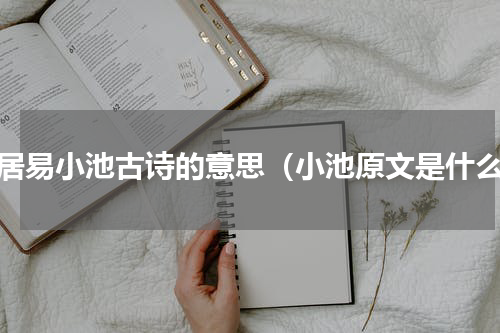 白居易小池古诗的意思（小池原文是什么）