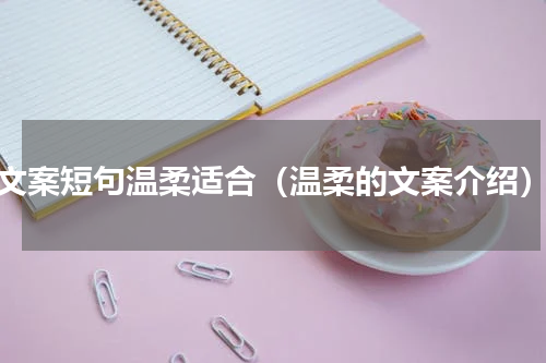 文案短句温柔适合（温柔的文案介绍）