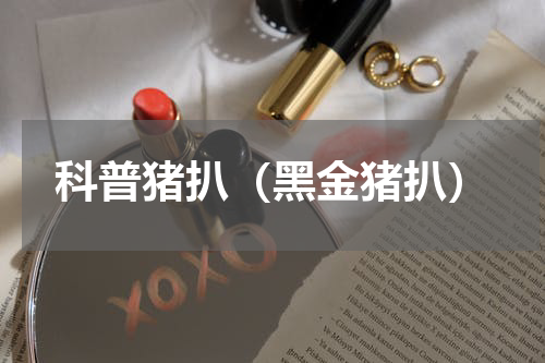 科普猪扒（黑金猪扒）