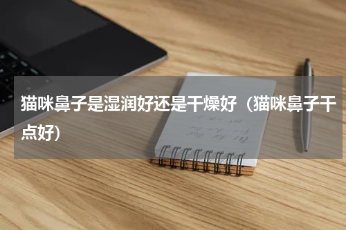 猫咪鼻子是湿润好还是干燥好（猫咪鼻子干点好）