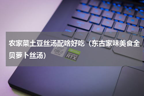 农家菜土豆丝汤配啥好吃（东古家味美食全贝萝卜丝汤）