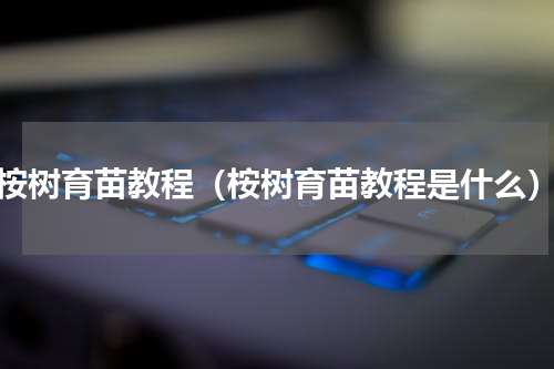 桉树育苗教程（桉树育苗教程是什么）