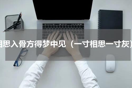 相思入骨方得梦中见（一寸相思一寸灰）