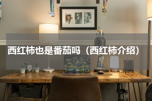 西红柿也是番茄吗（西红柿介绍）