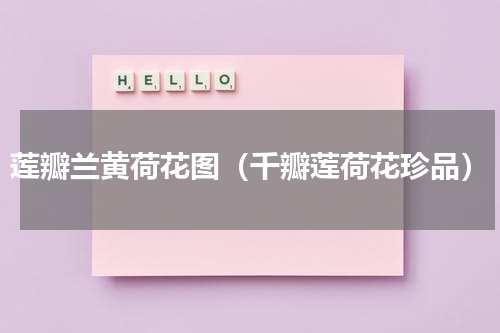 莲瓣兰黄荷花图（千瓣莲荷花珍品）