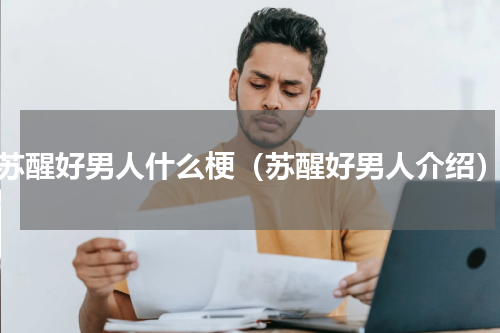 苏醒好男人什么梗（苏醒好男人介绍）