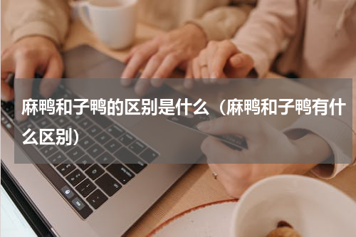 麻鸭和子鸭的区别是什么（麻鸭和子鸭有什么区别）