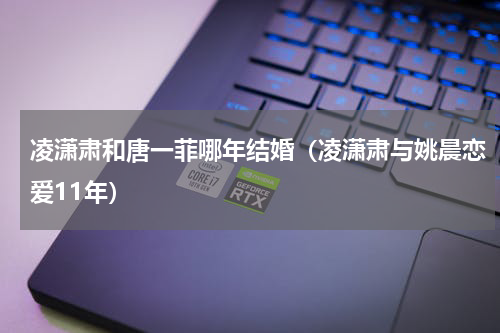 凌潇肃和唐一菲哪年结婚（凌潇肃与姚晨恋爱11年）