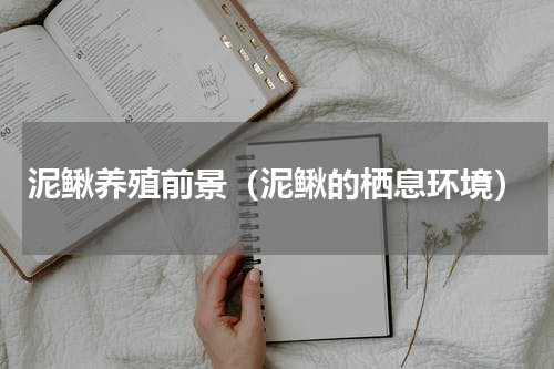 泥鳅养殖前景（泥鳅的栖息环境）