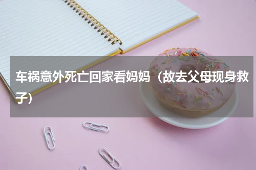车祸意外死亡回家看妈妈（故去父母现身救子）