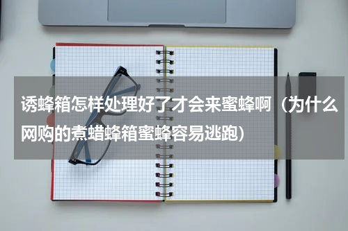 诱蜂箱怎样处理好了才会来蜜蜂啊（为什么网购的煮蜡蜂箱蜜蜂容易逃跑）