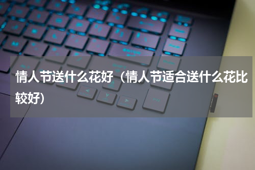 情人节送什么花好（情人节适合送什么花比较好）