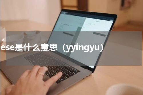 geese是什么意思（yyingyu）