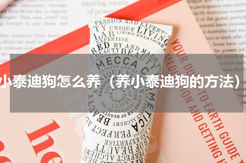 小泰迪狗怎么养（养小泰迪狗的方法）