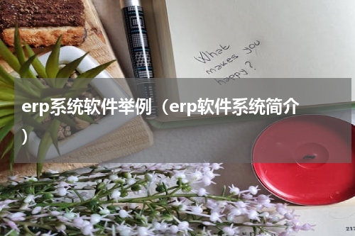 erp系统软件举例（erp软件系统简介）