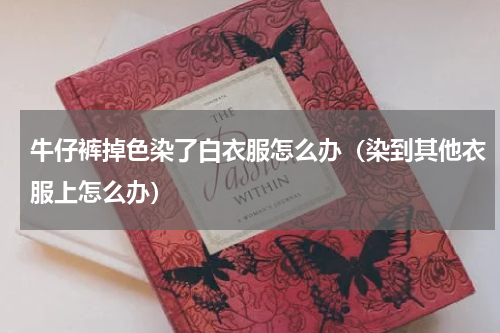 牛仔裤掉色染了白衣服怎么办（染到其他衣服上怎么办）