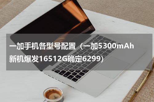一加手机各型号配置（一加5300mAh新机爆发16512G确定6299）