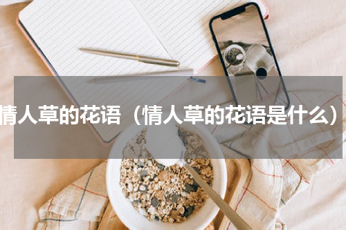 情人草的花语（情人草的花语是什么）