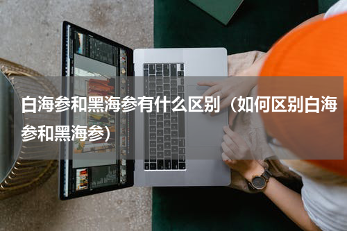 白海参和黑海参有什么区别（如何区别白海参和黑海参）