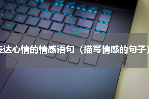 表达心情的情感语句（描写情感的句子）