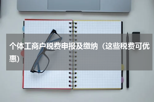 个体工商户税费申报及缴纳（这些税费可优惠）