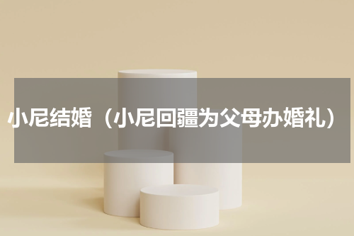 小尼结婚（小尼回疆为父母办婚礼）