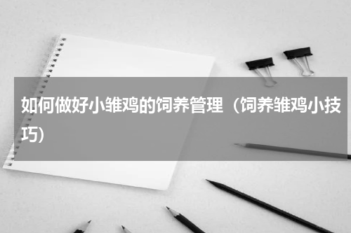 如何做好小雏鸡的饲养管理（饲养雏鸡小技巧）