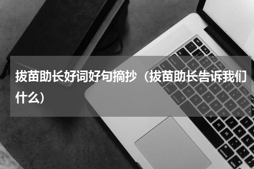 拔苗助长好词好句摘抄（拔苗助长告诉我们什么）