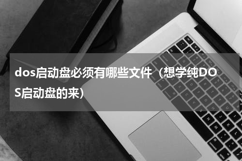 dos启动盘必须有哪些文件（想学纯DOS启动盘的来）