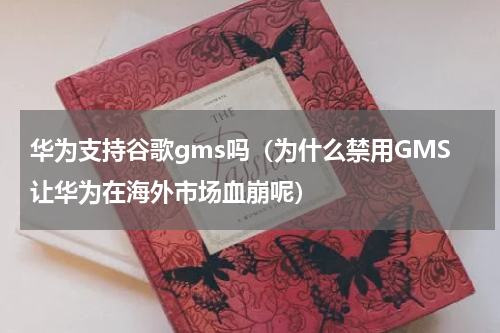 华为支持谷歌gms吗（为什么禁用GMS让华为在海外市场血崩呢）