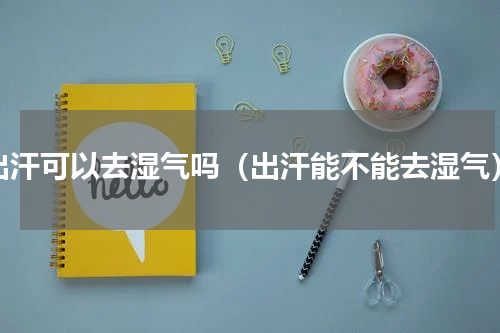 出汗可以去湿气吗（出汗能不能去湿气）