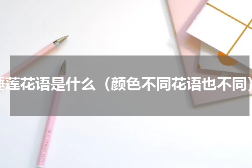 睡莲花语是什么（颜色不同花语也不同）
