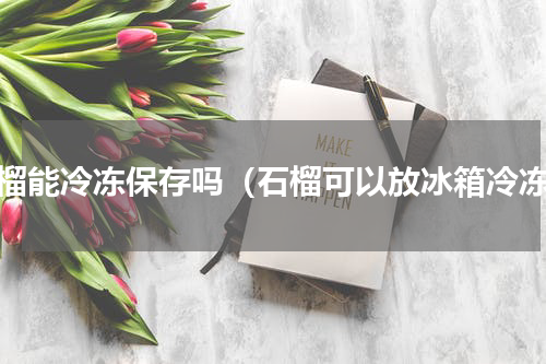 石榴能冷冻保存吗（石榴可以放冰箱冷冻）