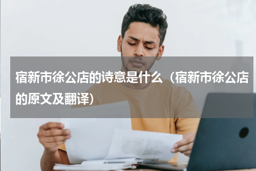 宿新市徐公店的诗意是什么（宿新市徐公店的原文及翻译）