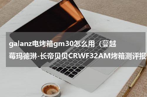 galanz电烤箱gm30怎么用（蔓越莓玛德琳-长帝贝贝CRWF32AM烤箱测评报告）