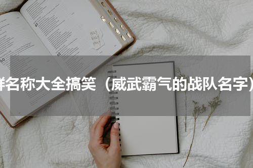 群名称大全搞笑（威武霸气的战队名字）