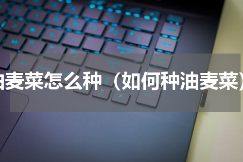 油麦菜怎么种（如何种油麦菜）