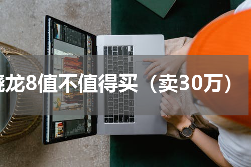 骁龙8值不值得买（卖30万）