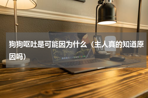 狗狗呕吐是可能因为什么（主人真的知道原因吗）