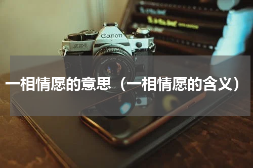 一相情愿的意思（一相情愿的含义）