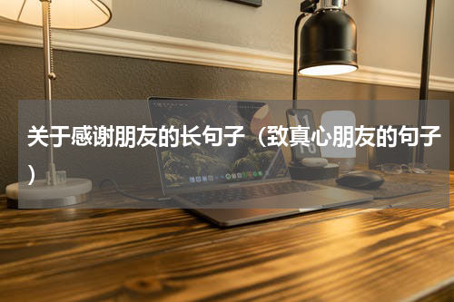 关于感谢朋友的长句子（致真心朋友的句子）