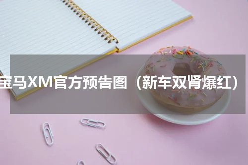 宝马XM官方预告图（新车双肾爆红）